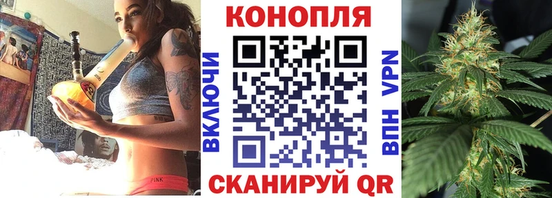 Бошки Шишки семена  Алдан 